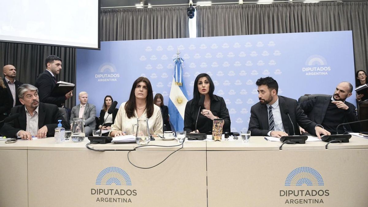 Tras el acuerdo del Gobierno con las farmacéuticas, avanzó en Diputados el tratado de patentes de EE.UU.
