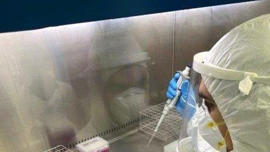 Laboratorio LAPCoV promovido por la UVa.