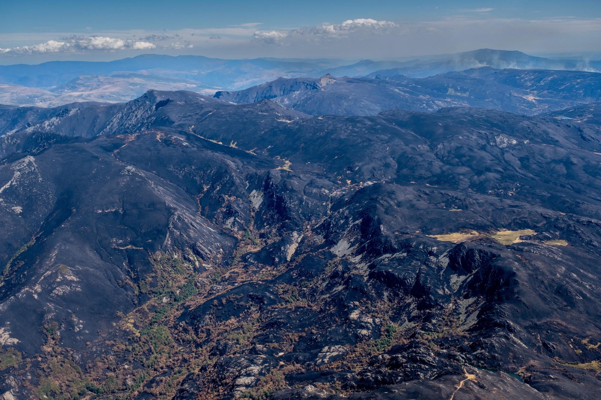 30 agosto 2025. Pena Trevinca, Serra do Eixe y Segundeira, entre Ourense y Zamora. Greenpeace/ Pedro Armestre