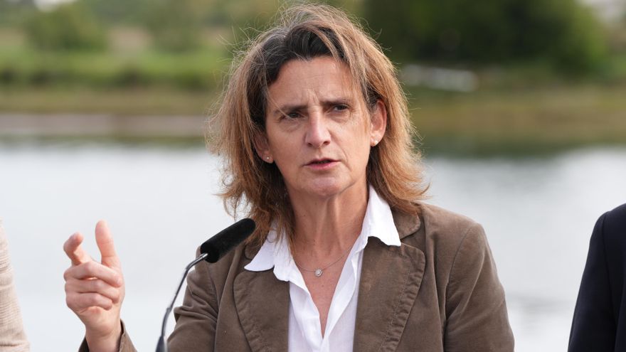 La ministra para la Transición Ecológica y el Reto Demográfico, Teresa Ribera, durante un acto de campaña del PSE-EE en el parque Osinbiribil, a 25 de mayo de 2023, en Irún, Guipúzcoa, País Vasco (España).