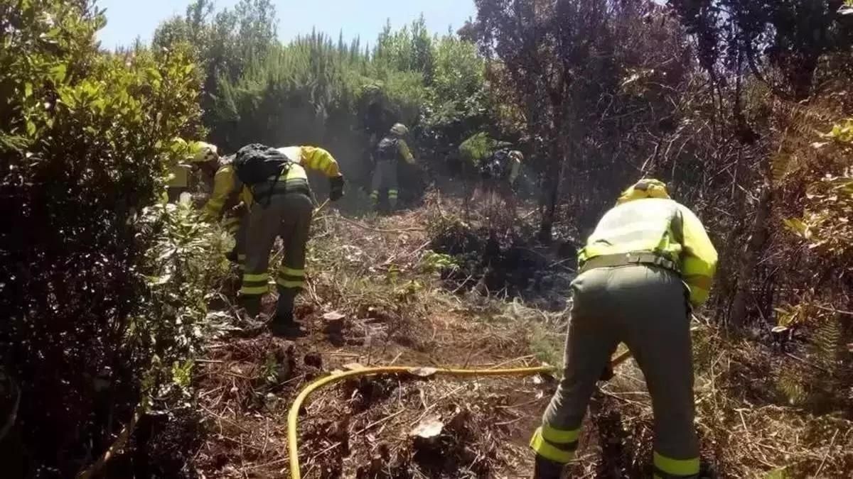 Alerta por riesgo de incendio forestal a La Palma, El Hierro, Tenerife y Gran Canaria