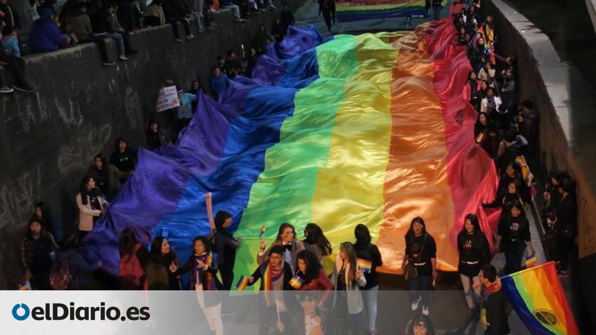 La plataforma Trans considera alarmante el número de agresiones y ...