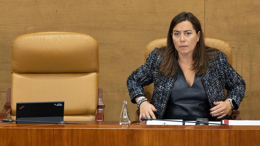 La vicepresidenta primera de la Asamblea de Madrid, Ana Millán Arroyo