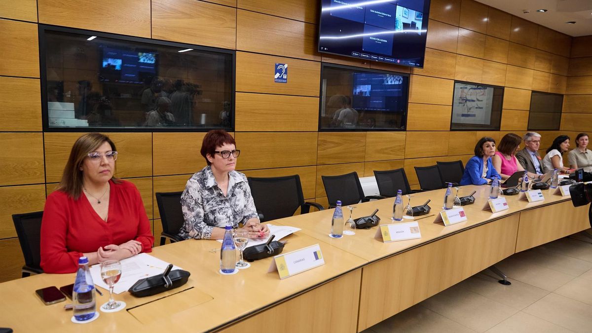 La consejera canaria, Candelaria Delgado (segunda por la izquierda), en la Sectorial de este jueves, que finalmente fue suspendida.