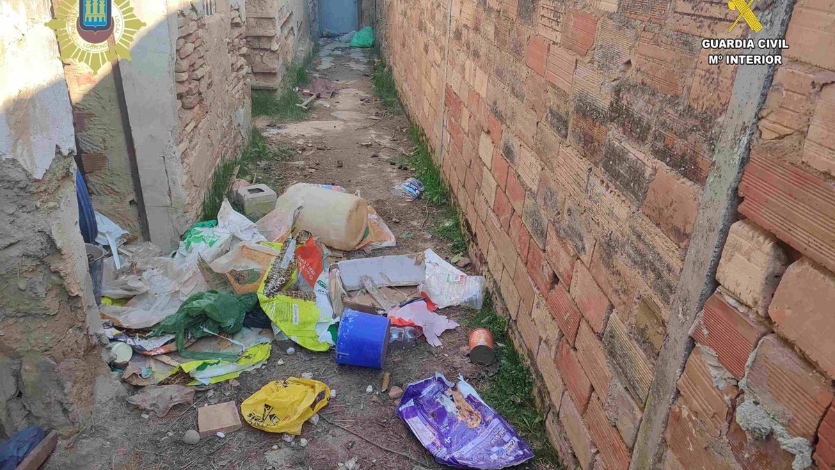 El lugar donde dejaban a los perros  estaba lleno de basura