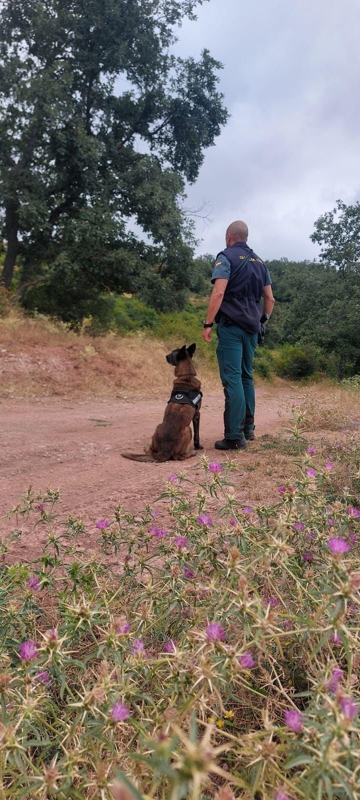 La Guardia Civil busca a un hombre desparecido de 54 años