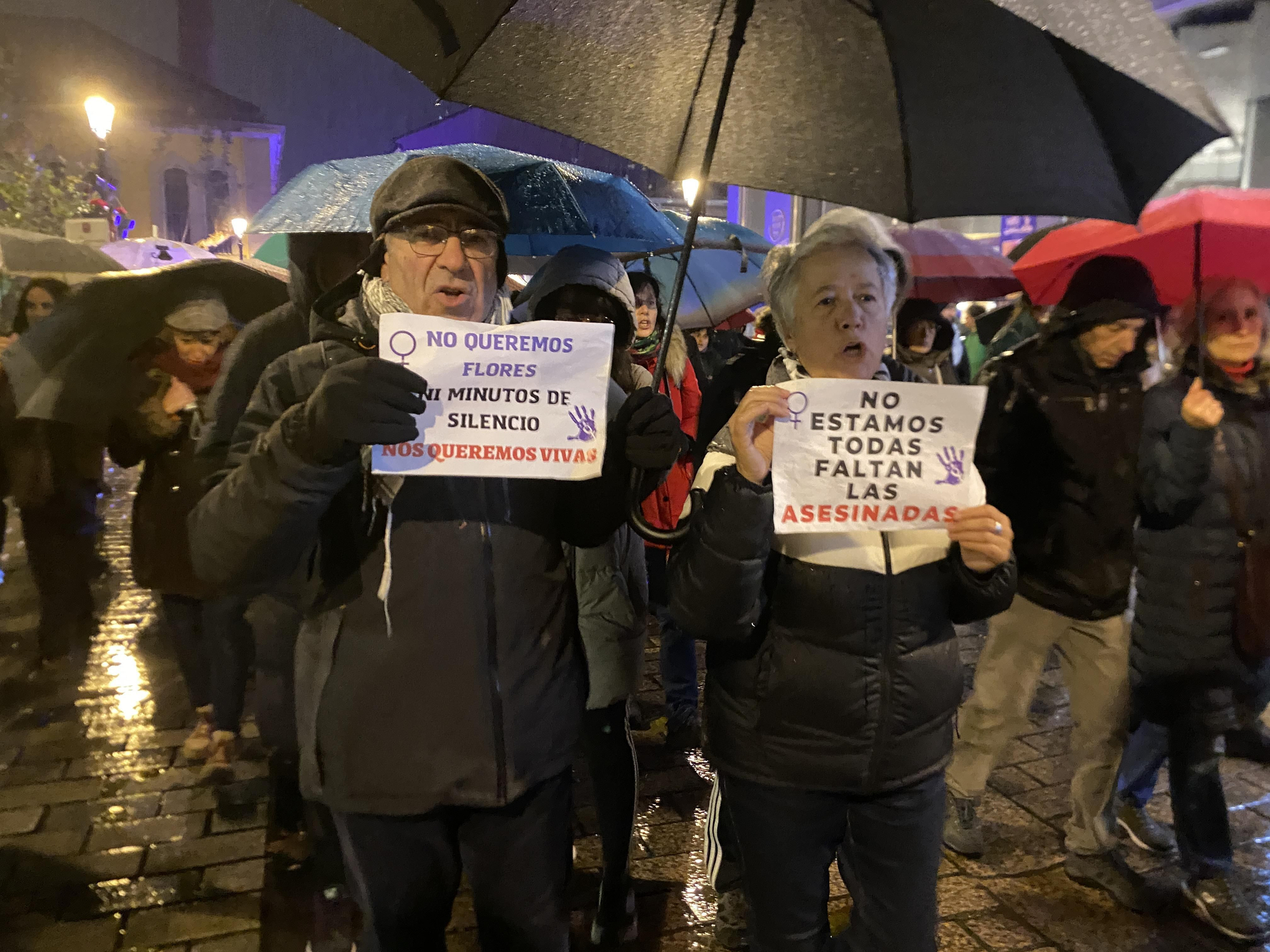 La lluvia no calla el grito feminista contra la violencia de género en Logroño