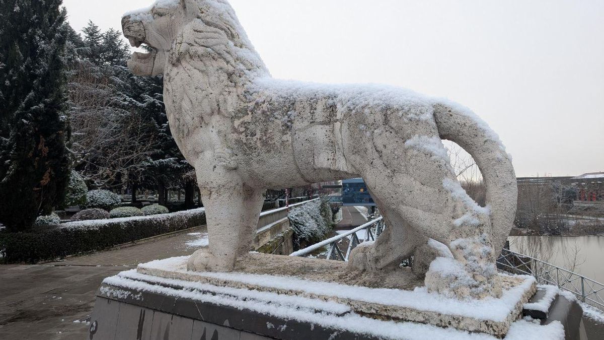 Postales de León nevado: las imágenes que deja la primera nevada del año en la capital