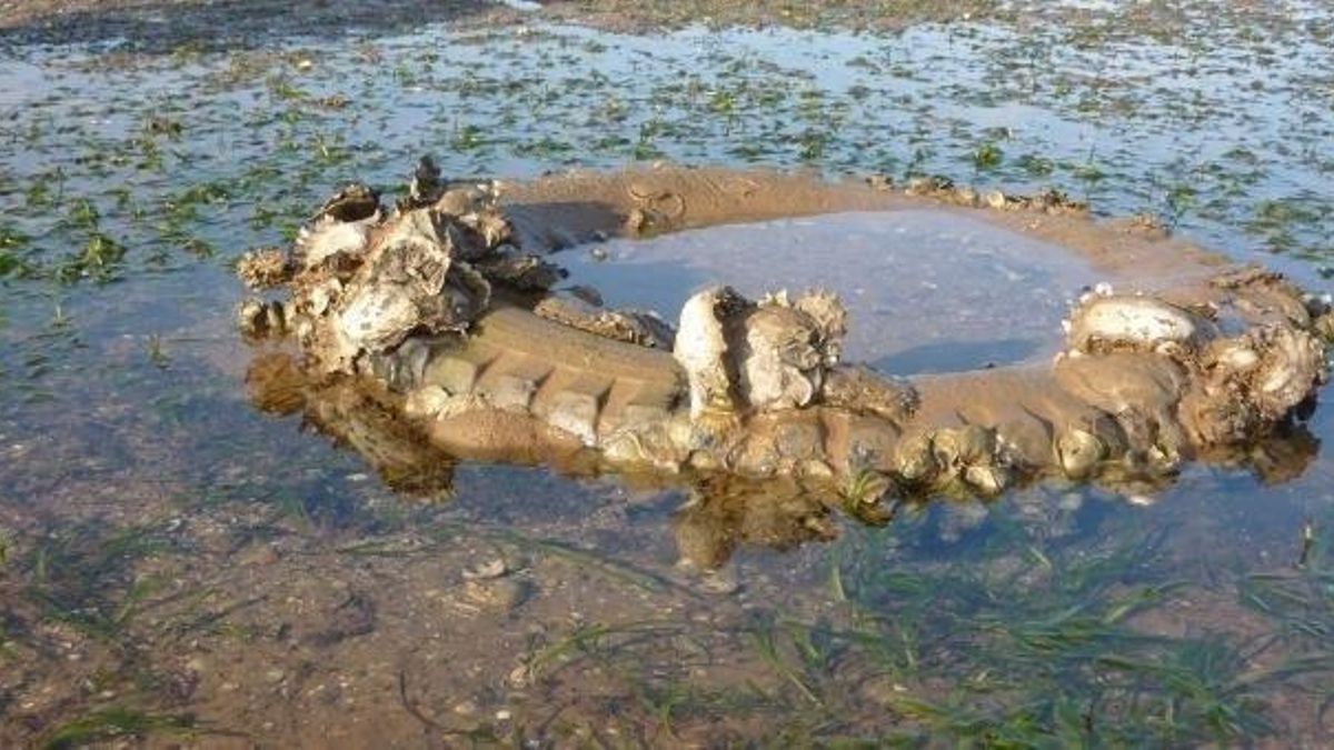 IH Cantabria impulsa un proyecto para detectar las zonas con más residuos del litoral cantábrico