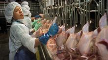 Empleados en una procesadora de pollos estadounidense.