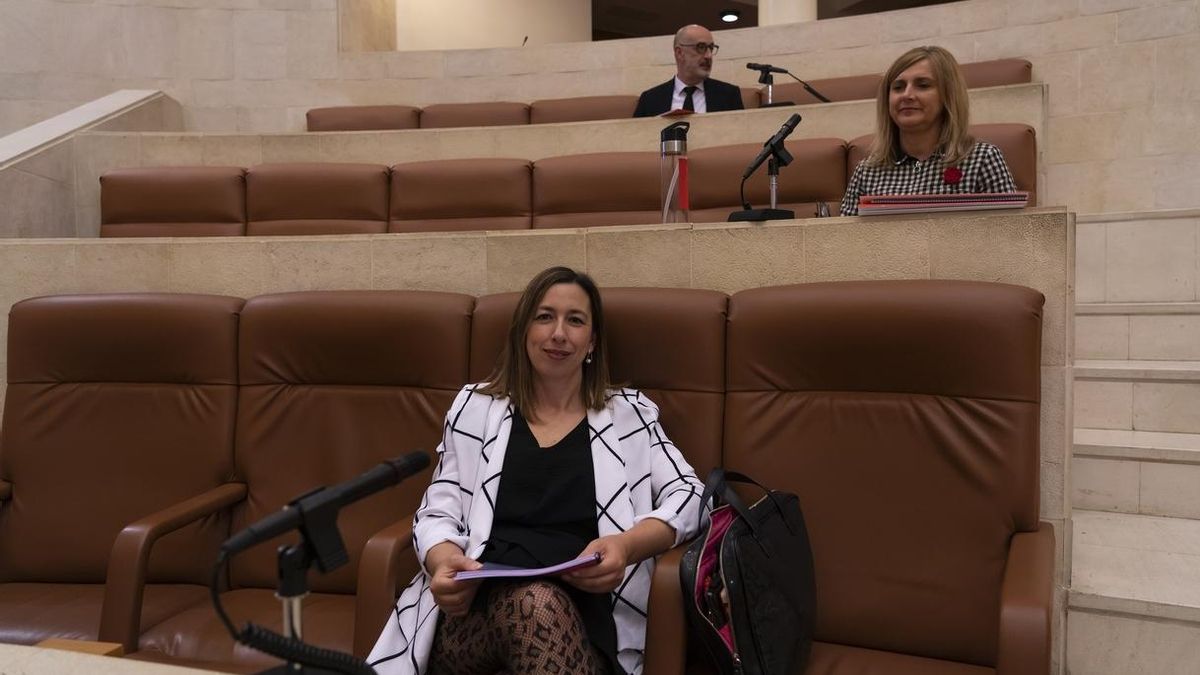 La consejera, María Sánchez, durante la comisión parlamentaria. | JOAQUÍN GÓMEZ SASTRE