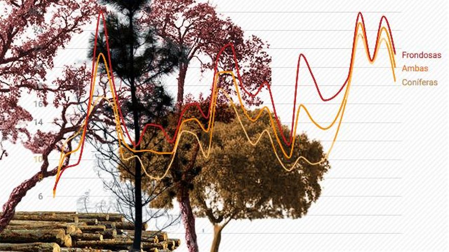 Los bosques españoles se recuperan cada vez peor de las sequías más extremas y repetidas que provoca el cambio climático