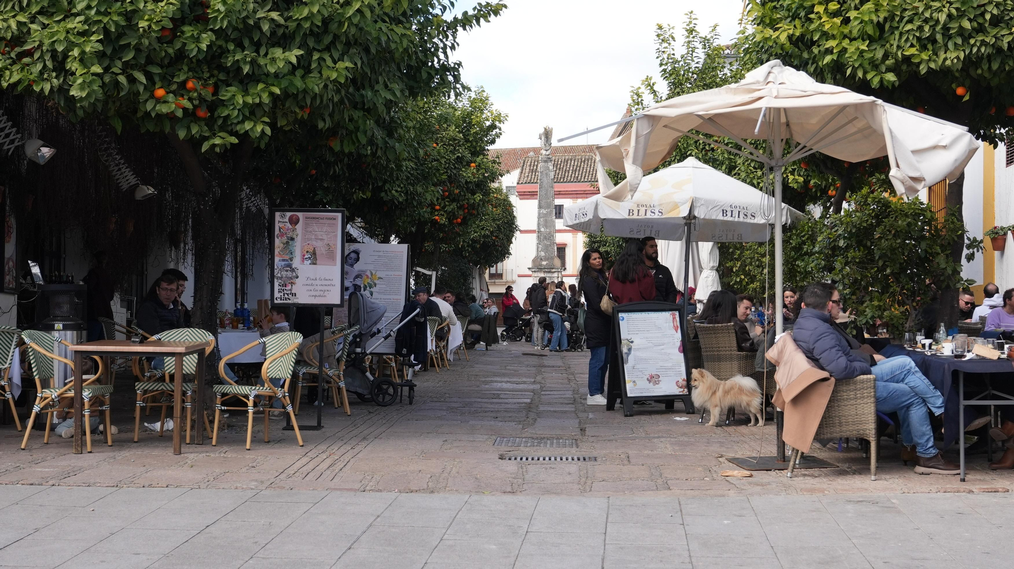 Los cordobeses se echan a la calle en este domingo de sol