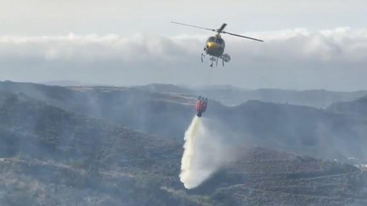 Estabilizado el conato de incendio registrado en la cumbre de Gran Canaria: afectadas entre ocho y diez hectáreas