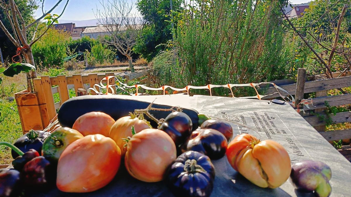 En Almaciga el aguacero nunca nos disuade de hacer planes, y con el huerto no iba a ser menos.