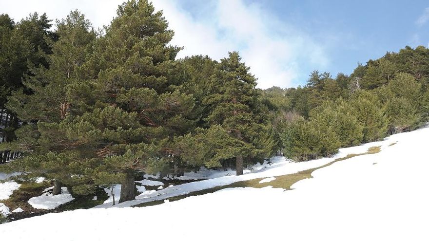 Así se ha recuperado la montaña tras la única demolición de una pista de esquí en Europa