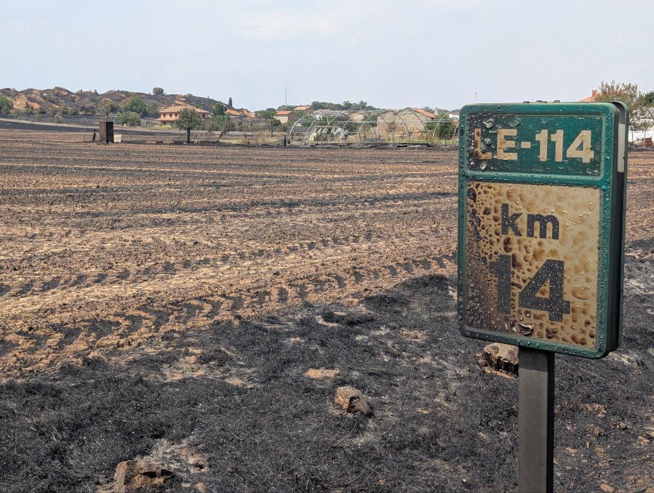 Genestacio de la Vega. / Antonio Vega ILEÓN