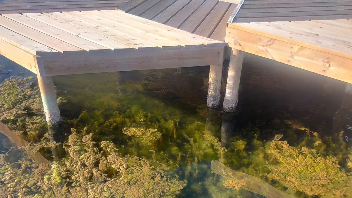 La UMU lidera un proyecto clave para mitigar el cambio climático a través de la agricultura de carbono