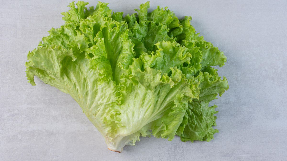 Lechuga fresca