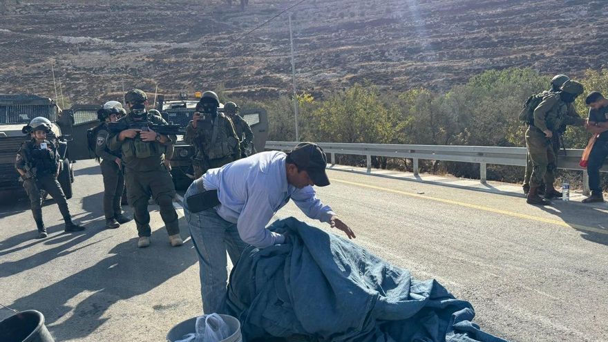 Ni tierra ni sustento: colonos y soldados convierten la cosecha de la aceituna en una pesadilla para los palestinos