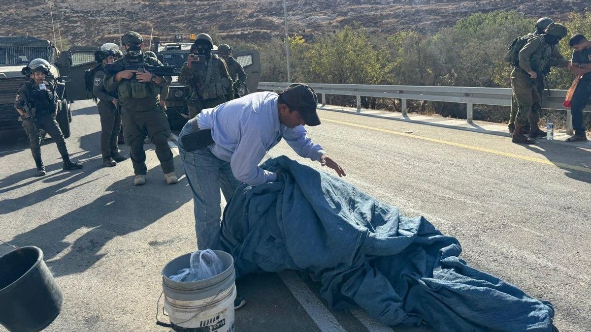 Ni tierra ni sustento: colonos y soldados convierten la cosecha de la aceituna en una pesadilla para los palestinos