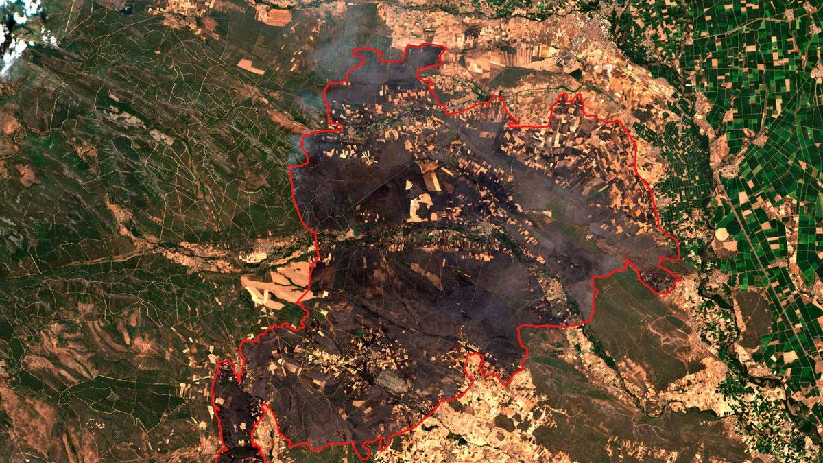 El incendio de Zamora-León apunta a las 40.000 hectáreas calcinadas: el peor de España desde que hay registros