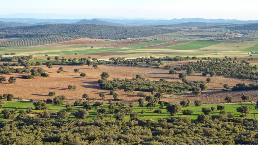 Las tierras raras llegan al Defensor del Pueblo: denuncian presiones de un “grupo de interés” a alcaldes y políticos