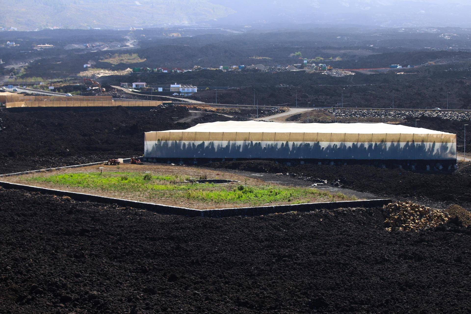 Cinco años después de la erupción del Tajogaite, la reconstrucción agrícola de La Palma continúa en un proceso que empieza en las fincas sepultadas por la lava y termina en instalaciones de procesamiento