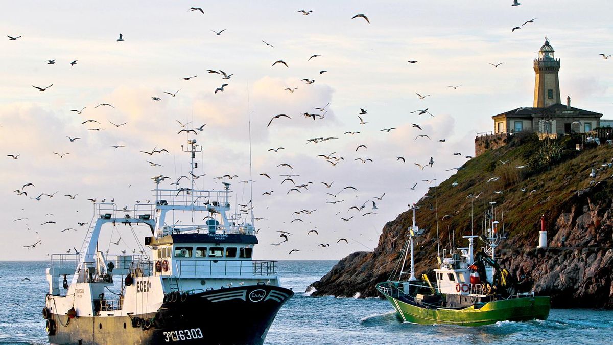 Un recorrido por la historia y la naturaleza de la Ría de Avilés a través de sus paseos en barco