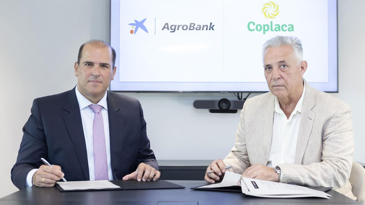 CaixaBank y Coplaca suscriben un acuerdo para impulsar la actividad del plátano.