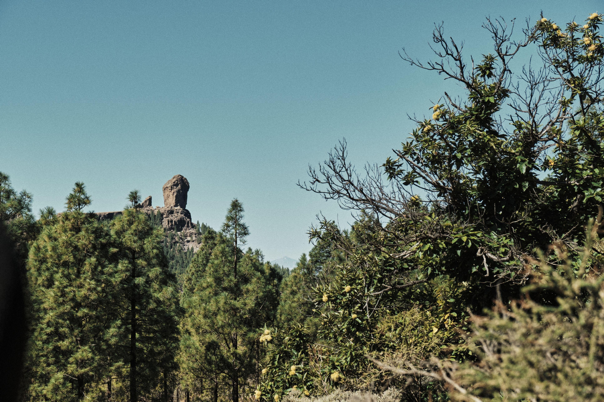 Vista del Roque Nublo