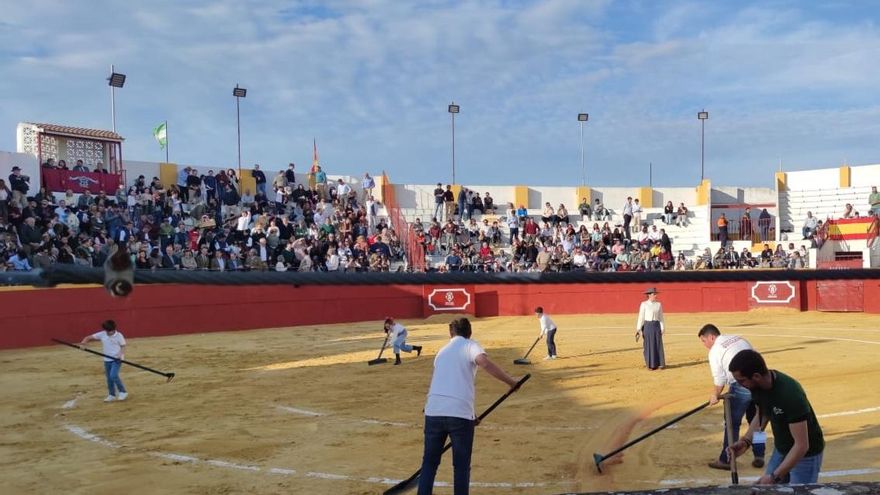 "Lamentable y cruel": Pacma denuncia que menores limpiaron sangre en una corrida benéfica