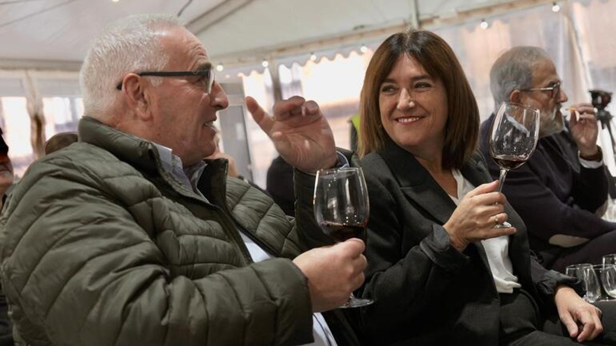 El Supremo empieza a tumbar recursos de la consejera Barredo y hará firme la nulidad de Valogreene Paper de Bergara