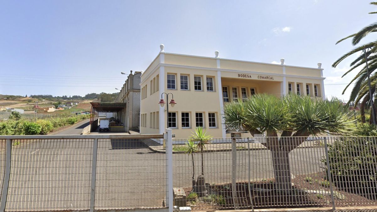 Bodega Insular del Cabildo de Tenerife, industria vinícola que gestiona bajo concesión pública la sociedad anónima Bodegas Insulares, en Tacoronte y coparticipada hasta ahora por la Corporación insular.