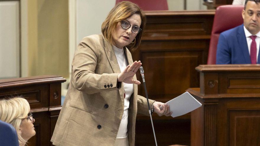 La consejera de Bienestar Social niega el retroceso en Dependencia en Canarias y se escuda en que el nuevo decreto "es un borrador"