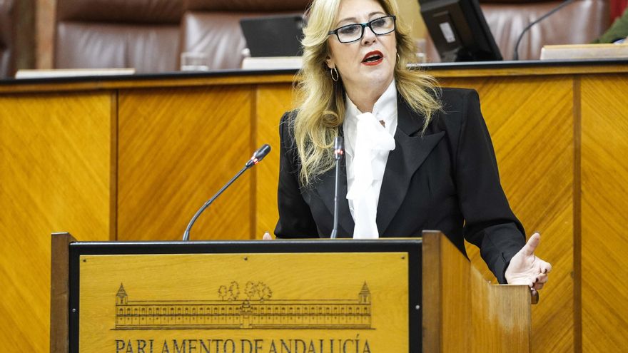El Parlamento andaluz se embarra con la corrupción tras el cese de la interventora que denunció los contratos sanitarios