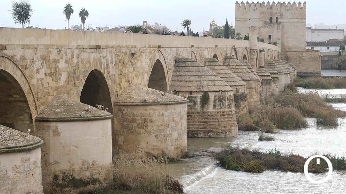 Así va el río Guadalquivir a su paso por Córdoba después de las últimas lluvias