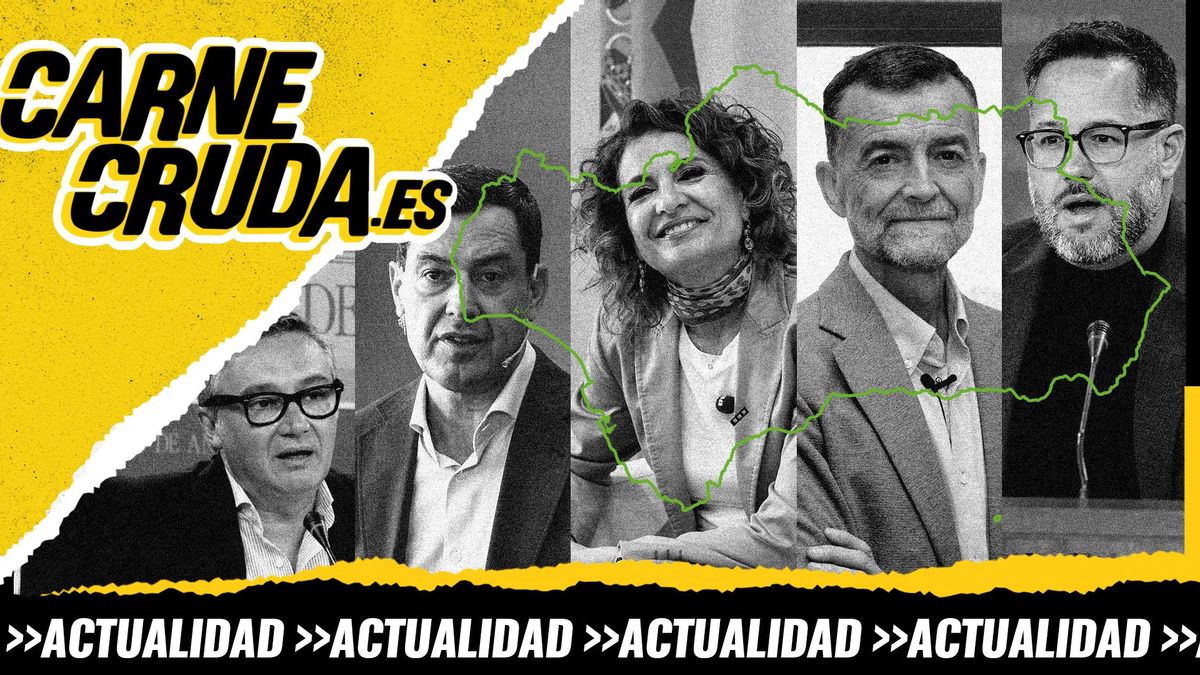 Elecciones andaluzas: análisis de resultados