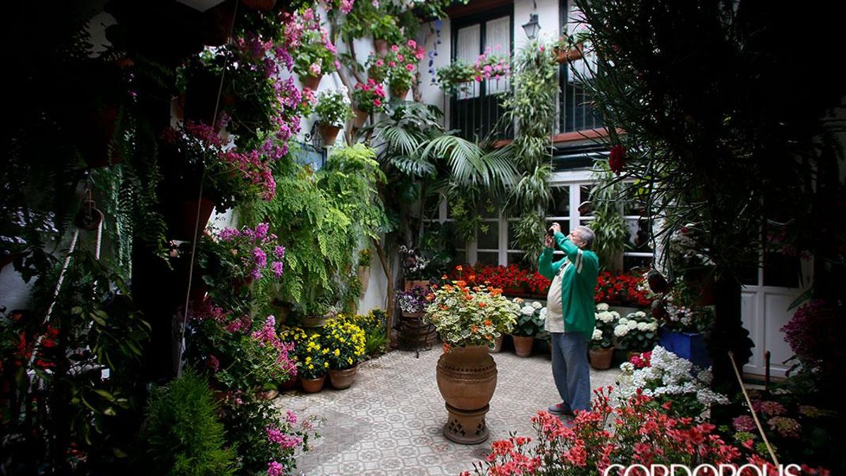 Casa-patio en Maese Luis, 22, de la ruta Judería-San Francisco | MADERO CUBERO