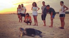 En México, Kowabunga Ecoproject trabaja con voluntarios para la conservación de tortugas marinas.