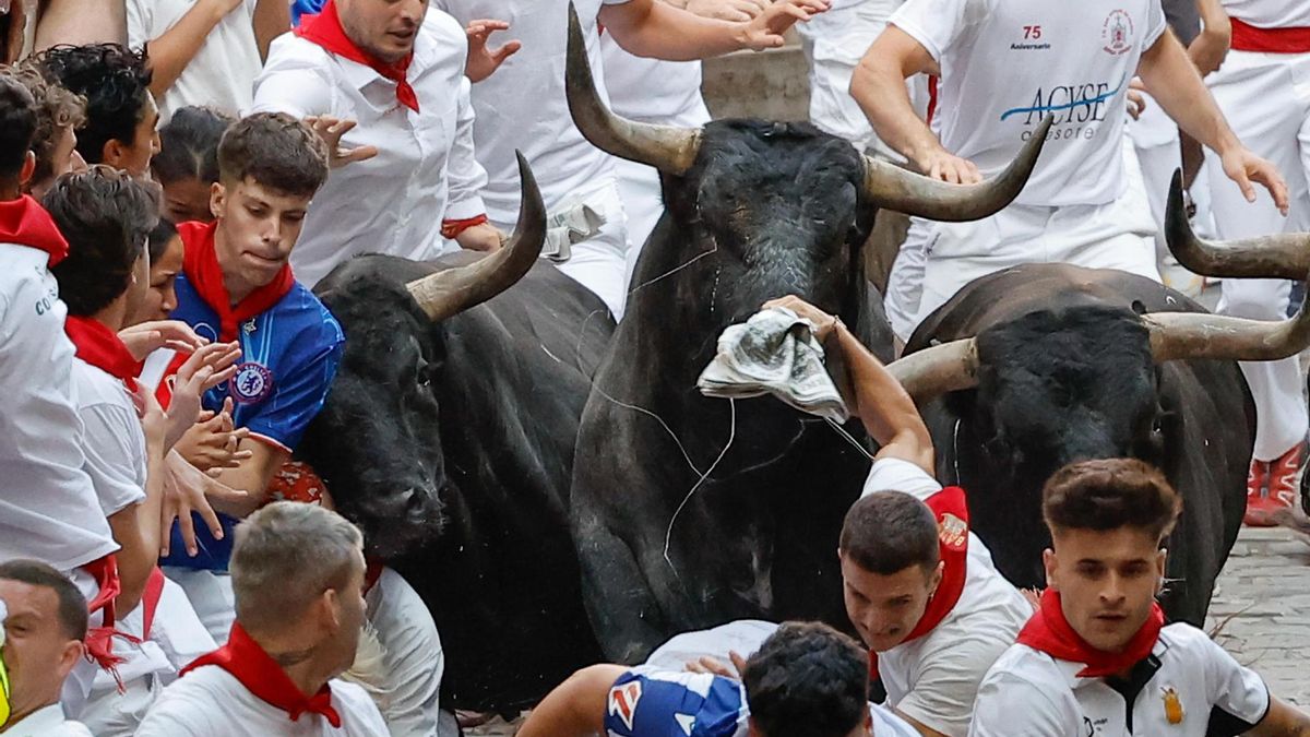 Asesinato en la pantalla: cuando las palabras sangran