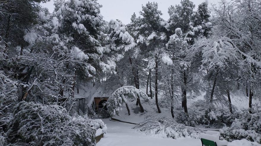 La ciudad de Guadalajara cifra en dos millones de euros los daños de 'Filomena', Toledo los eleva a diez