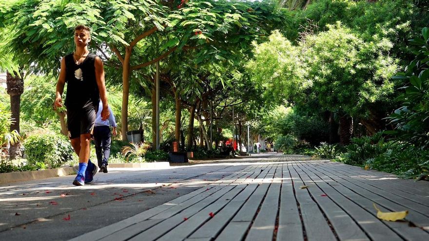 Parte de los paseos preparados con maderas que serán mejorados
