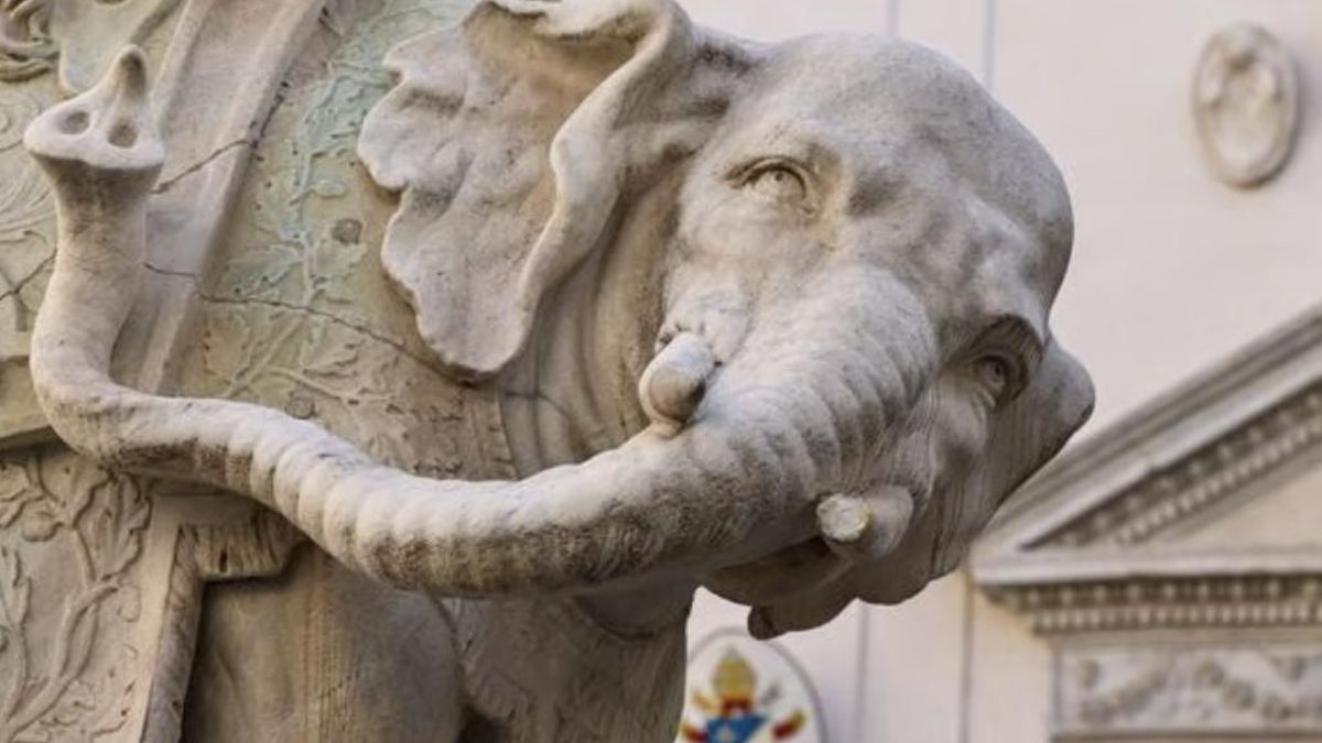 Una de las esculturas de Bernini en Roma muestra un detalle inquietante: su elefante tiene un colmillo roto