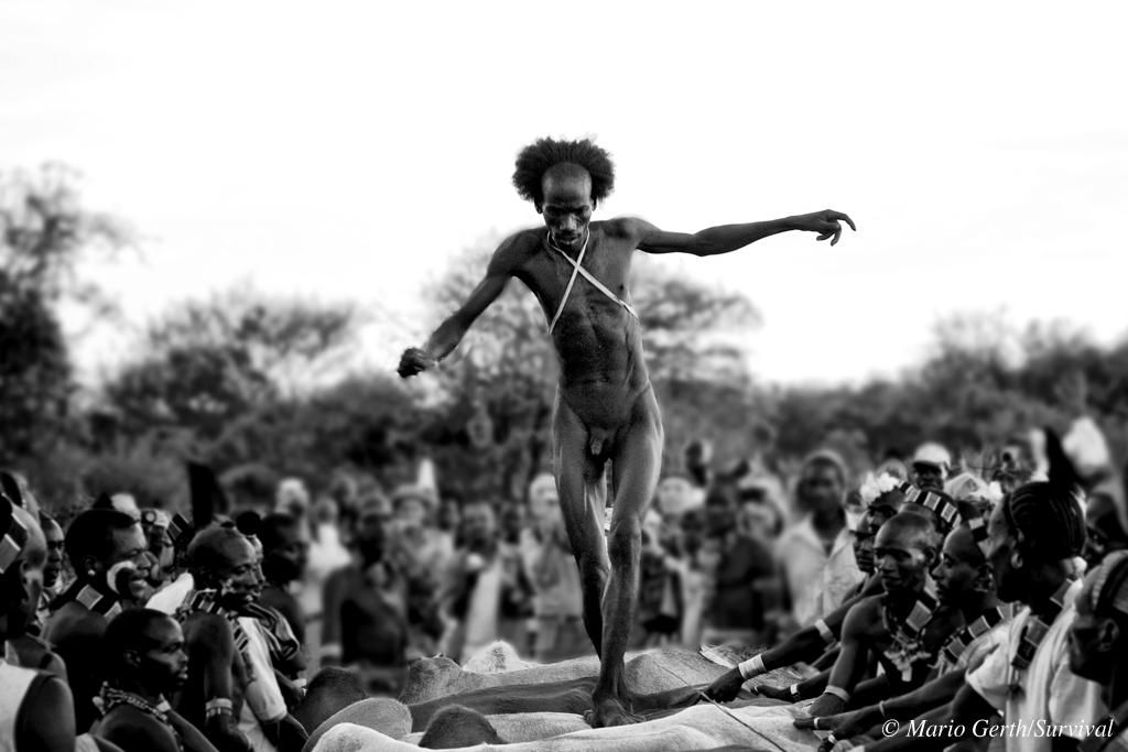 En Etiopía, antes de que un hombre hamar pueda casarse tiene que correr sobre una fila de ganado. Cubierto de excrementos para darle fuerza, un hombre debe correr por encima de hasta 30 cabezas de ganado cuatro veces, sin caerse. Si lo consigue, el hombre se convierte en maza: hombres que han superado con éxito este rito de paso./ Fotografía: ©Mario Gerth/Survival