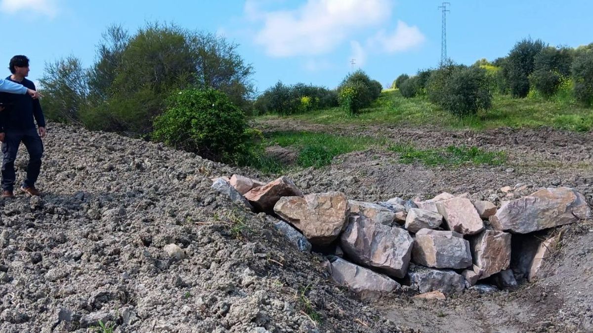 Proyecto para la mejora de la conectividad ecológica en el área piloto AP01 de la campiña de Córdoba.