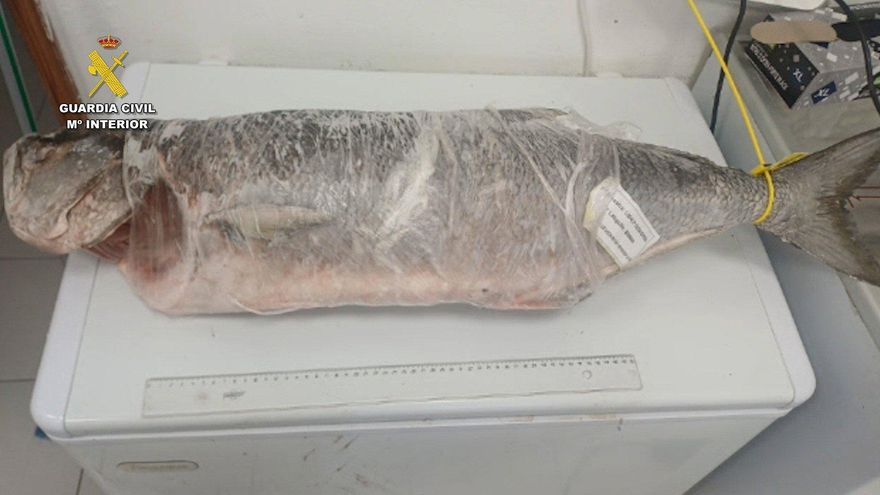 Investigadas cinco personas por el robo de pescado en una piscifactoría del Castillo del Romeral, en Gran Canaria