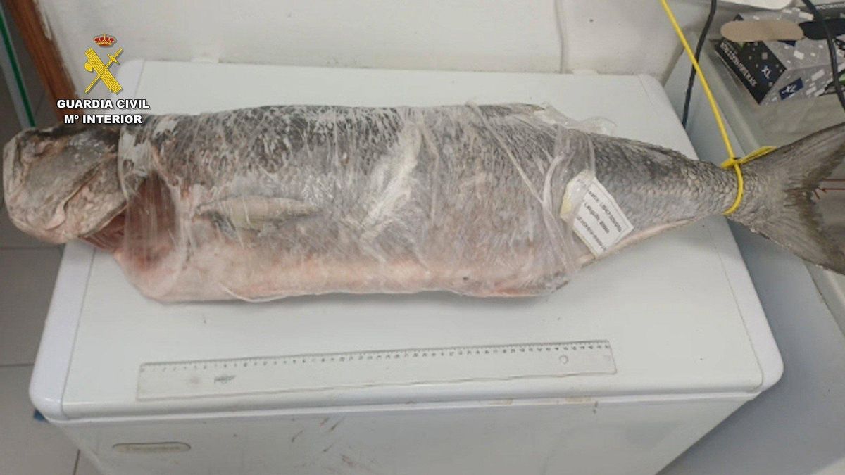 Investigadas cinco personas por el robo de pescado en una piscifactoría del Castillo del Romeral, en Gran Canaria