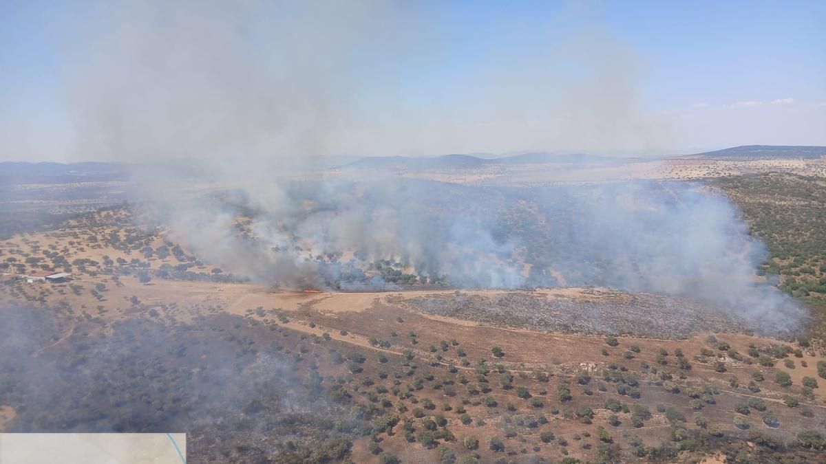 Medios aéreos y terrestres del Infoca actúan contra un incendio forestal en Los Blázquez