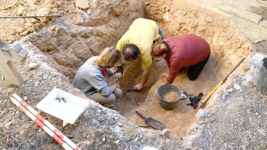 El Gobierno de Aragón dice que el informe de la ONU sobre su plan de concordia tiene "bulos"